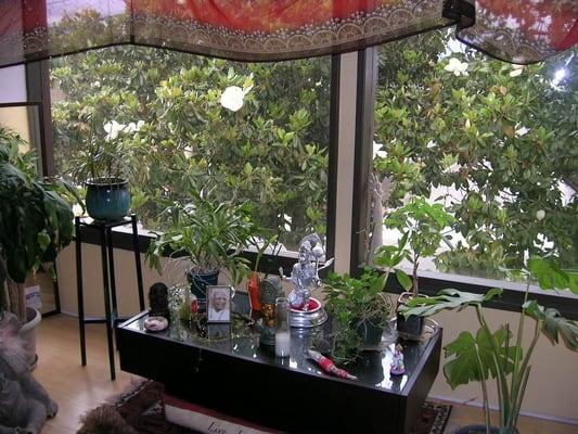 Altar Overlooking Magnolia Tree