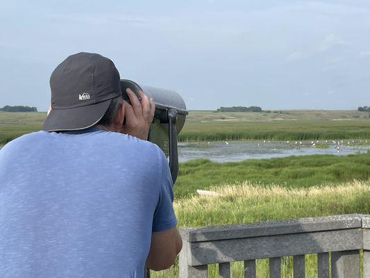 Viewing deck