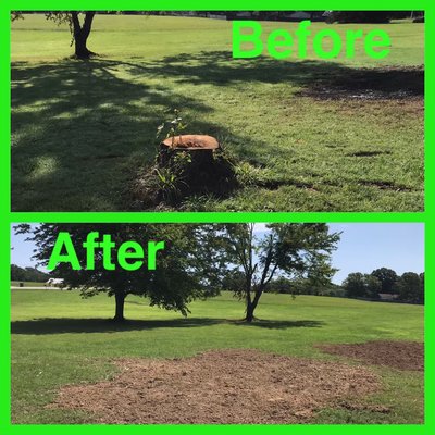 RidgeTop Stump Grinding