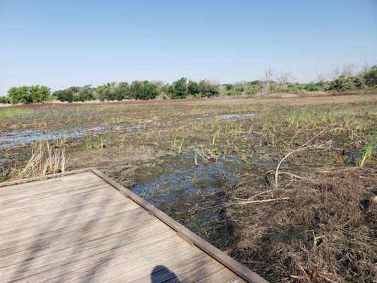 I-20 Wildlife Preserve & Jenna Welch Nature Study Center