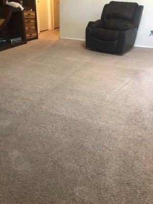 Carpet completely cleaned