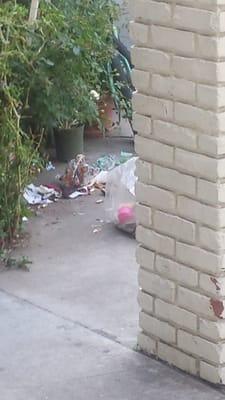 Trash outside your door in the morning. Lazy neighbors