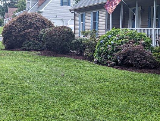 Weeding, edging and mulching