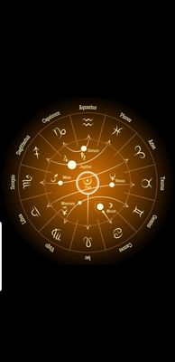 This is a Natal chart. A natal chart is a snap shot of ones. planetary alignment created from ones exact time of birth location.