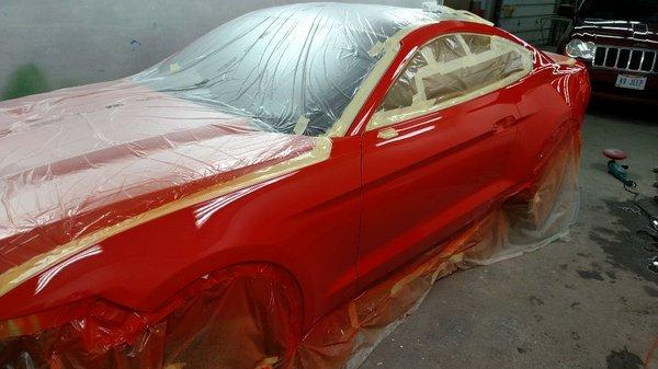 Freshly buffed repaint after deer hit repair. Mustang.