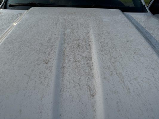 Hood of my truck after both washes