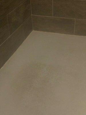 Shower floor