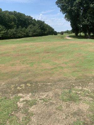 Just play here yesterday and the conditions were horrible. These are pictures of the best hole on the course.