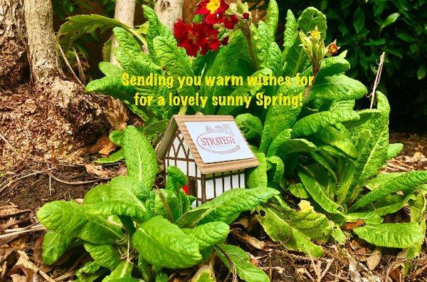 Strategy Real Estate wishing you a sunny spring.