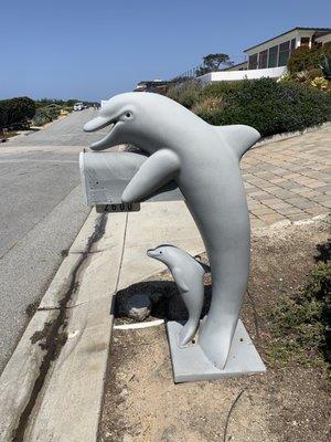 Dolphins mailbox