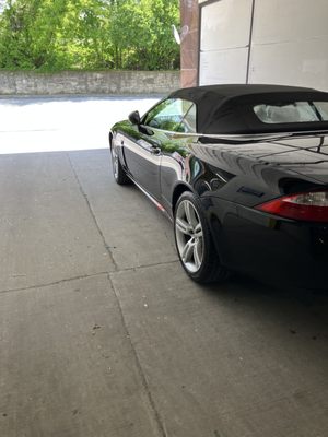 Classic jaguar c oh waned and ready to purr!