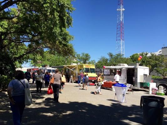 So many food trucks to chose from! Cheesy Jane was there, a Guadalajara taco truck was there tempting me with it delicious mini tacos!