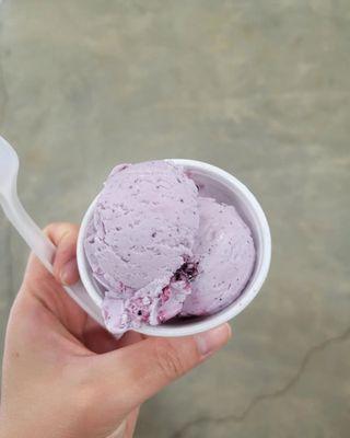 Blueberry ice cream