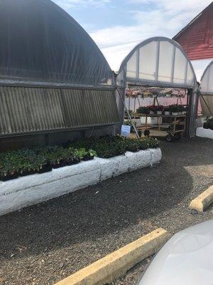 Farmer Al's Market & Greenhouses