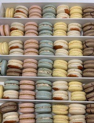 Delicious Macarons!