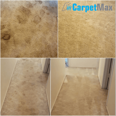 carpet cleaning