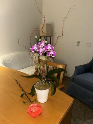 Orchid and single stem rose