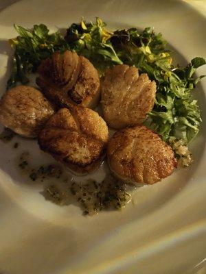 JUMBO SEA SCALLOPS