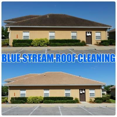 Blue Stream Roof Cleaning & Pressure Washing