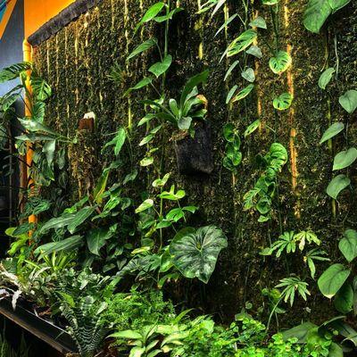 The living wall!