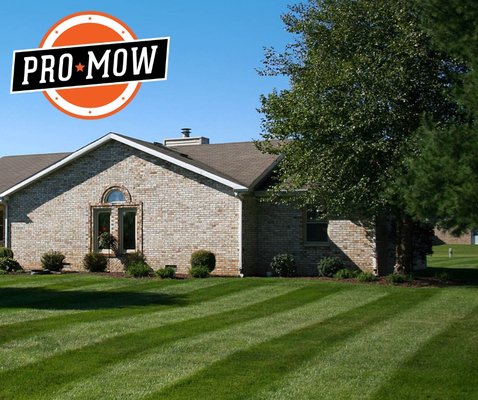 Lawn Mowing - Our mowing service is professional and affordable.