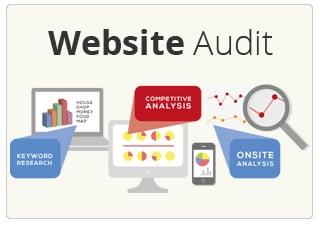 Website Audit Services