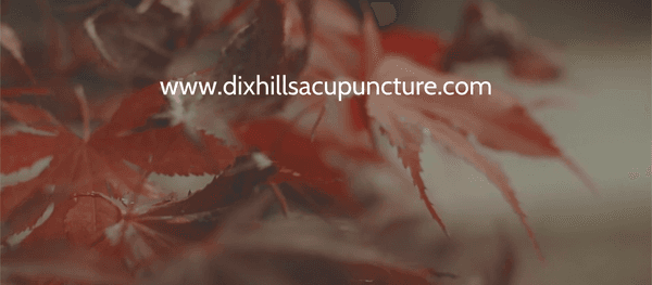 Dix Hills Family Acupuncture