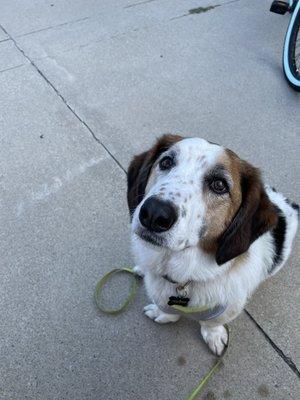 Leroy loves Lighthouse Bagels!