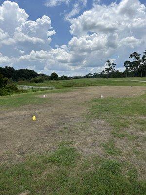 Tees and fairways are gone!