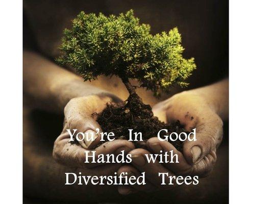 Diversified Trees