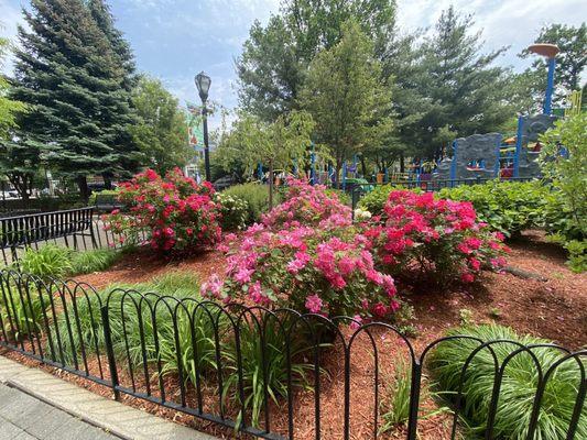 Garden outside the playground