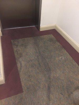 Professional carpet cleaning services. Picture of a before the carpet was treated.