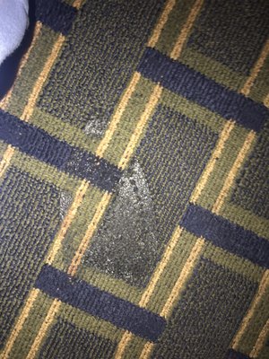 Burned carpet