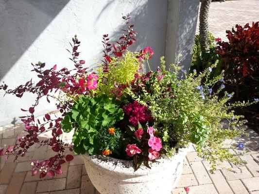 Flower pots and green grass.  Beautiful!