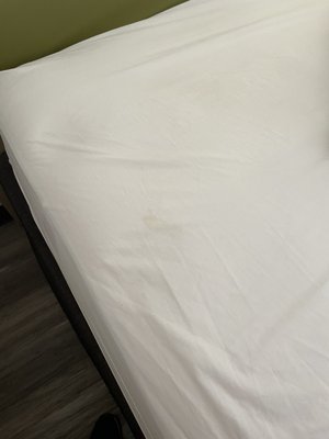 Multiple stains on the bedsheets.