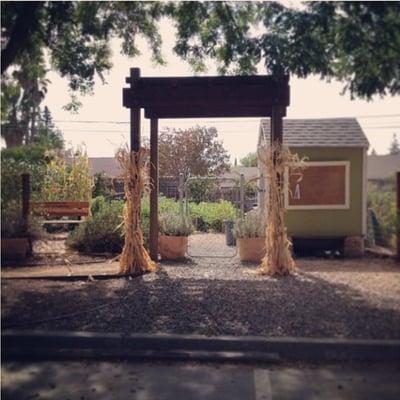 Shepherd's Field Community Garden