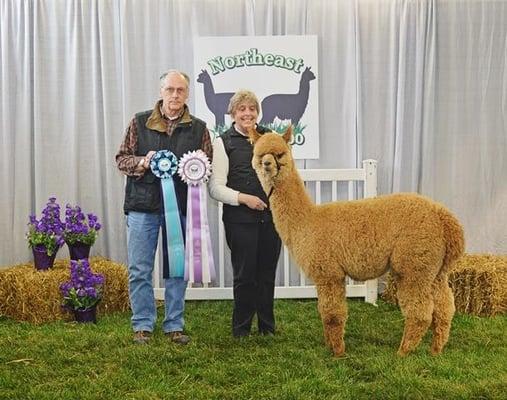 Owners at a show.