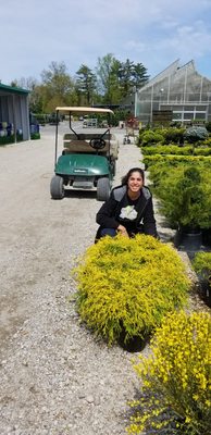 Meet Agatha, our horticulture specialist and designer