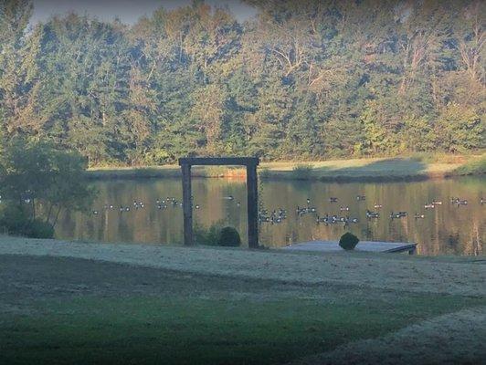 Lake with ducks and dock.