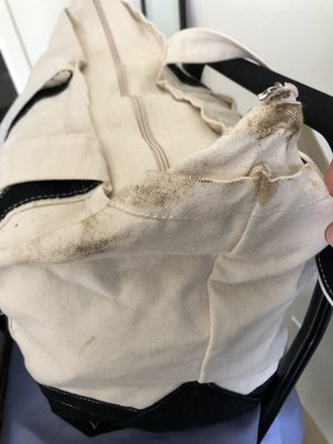 ruined Boston Globe tote bag (Zipper destroyed and grease and mud stained)