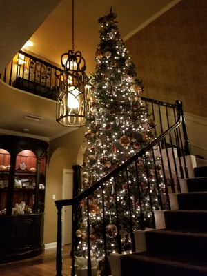 Gorgeous Christmas tree by the staircase