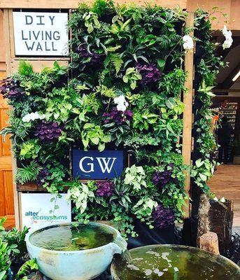 Our living wall that's full of succulents, ferns, and other shady plants. Looks great on any wall, side of outdoor shower or fence.