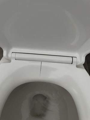 The cracked toilet