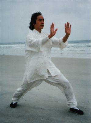 Great Dragon Tai Chi - Kung Fu Academy