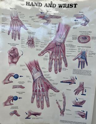 Hand chart