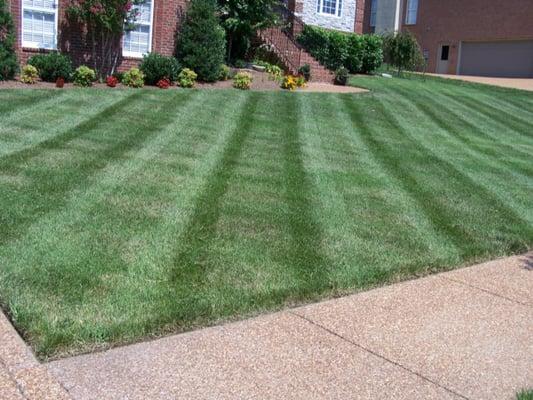 NV Service Group - Lawn Mowing - Fairfax, VA