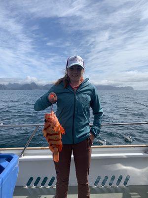 Tiger Rockfish caught on Hope!