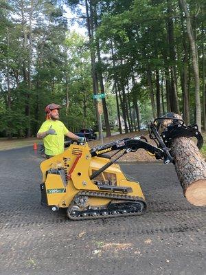 Mini skid steer carrying a pine log