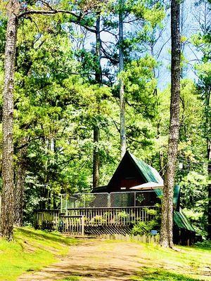 A cozy A-Frame on the hill lends its charm to this incredibly secluded wooded landscape..