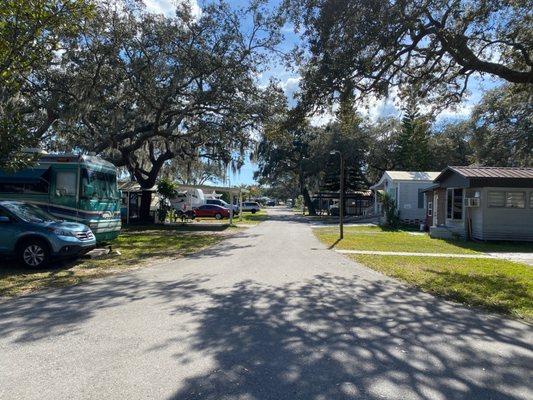 Tree lined streets